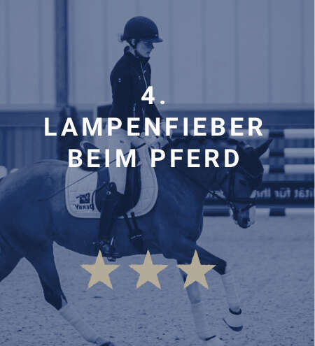 derby academy wildcard gewinnerin blau